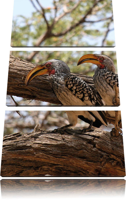 zwei exotische Vögel auf Baum Leinwandbild 3 Teilig