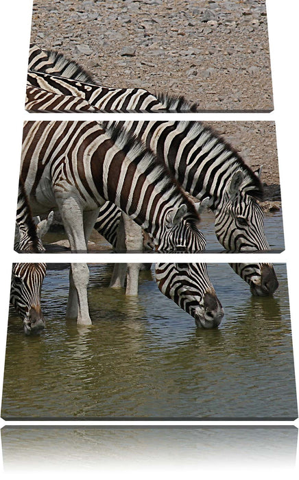 Zebraherde an einem Wasserloch Leinwandbild 3 Teilig