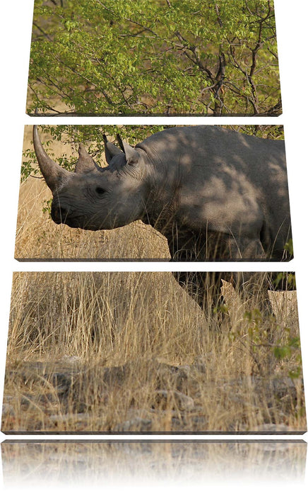 Nashorn in der Savanne Leinwandbild 3 Teilig