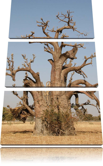 vertrockneter Baum in der Savanne Leinwandbild 3 Teilig