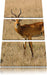 Dorkasgazelle im trockenen Gras Leinwandbild 3 Teilig