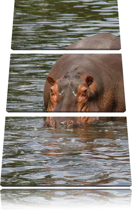 zwei Flusspferde im Wasser Leinwandbild 3 Teilig