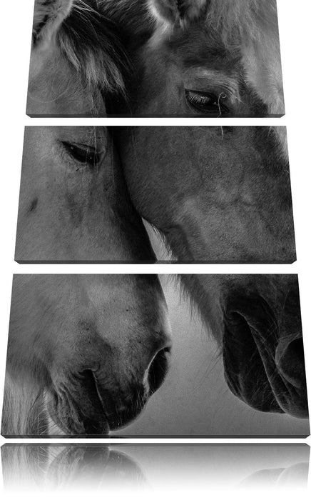 zwei liebevolle Pferde Leinwandbild 3 Teilig