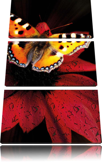 Schmetterling auf roter Blüte Leinwandbild 3 Teilig