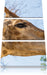 anmutige Giraffe isst Leinwandbild 3 Teilig