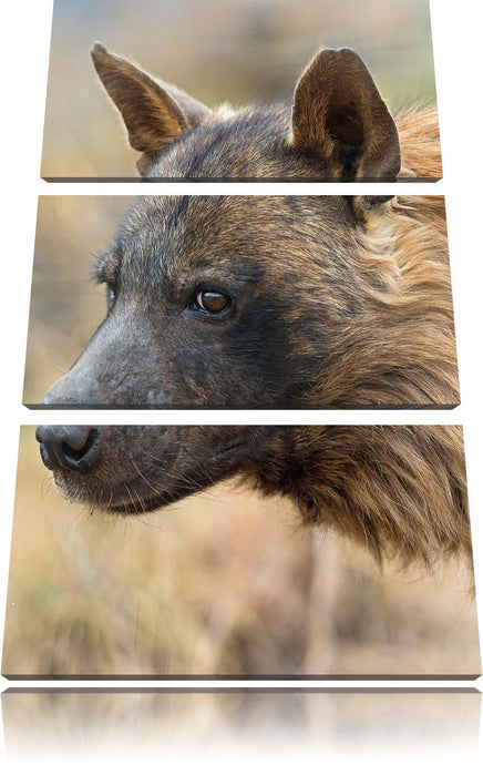 anmutige Hyäne im Wildgras Leinwandbild 3 Teilig