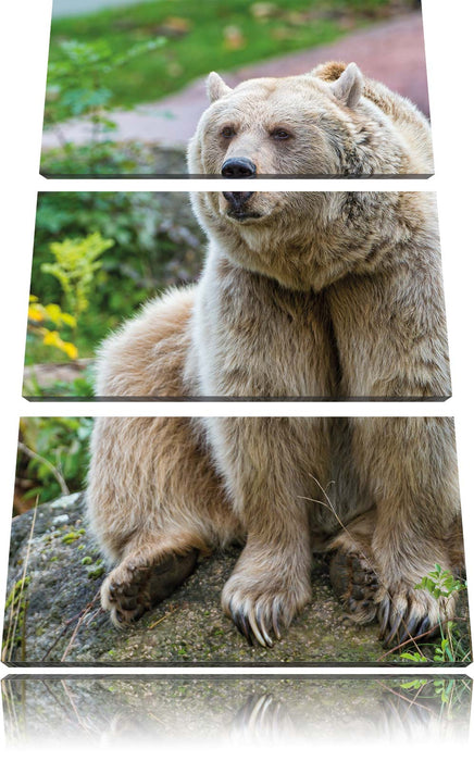 niedlicher Grizzlybär auf Stein Leinwandbild 3 Teilig