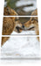 liebevolle Wölfe im Schnee Leinwandbild 3 Teilig