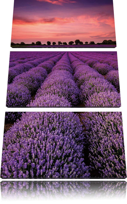 Wunderschöne Lavendel Provence Leinwandbild 3 Teilig