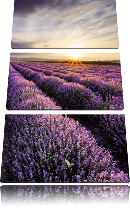 Traumhafte Lavendel Provence Leinwandbild 3 Teilig
