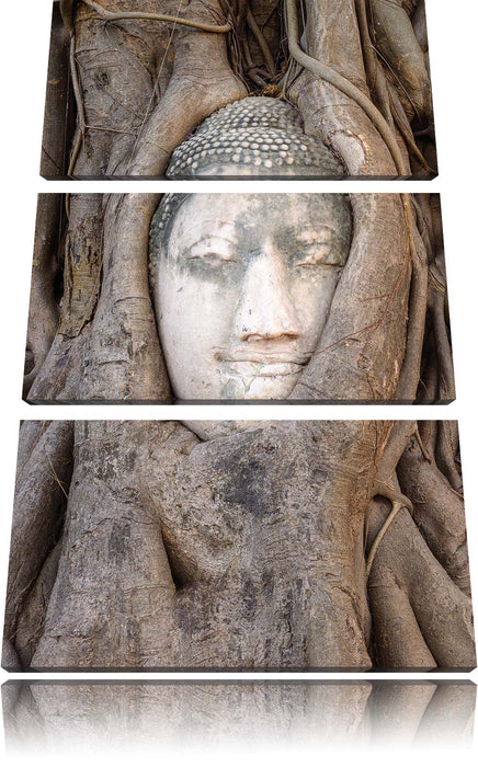 Buddha Kopf im Baum Leinwandbild 3 Teilig