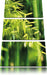 Bambus mit Blättern Leinwandbild 3 Teilig