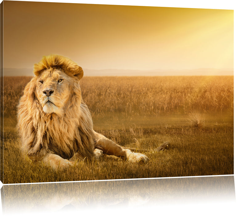Pixxprint Majestätischer Löwe, Leinwandbild