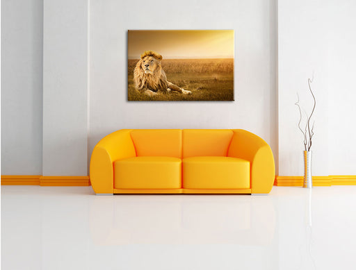 Majestätischer Löwe Leinwandbild über Sofa