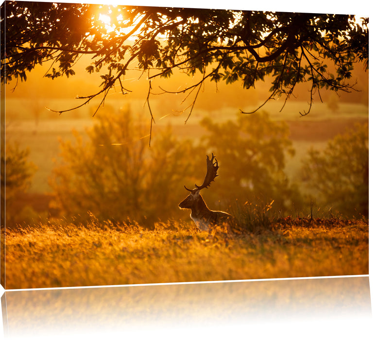 Pixxprint Damhirschbock Herbstmorgen, Leinwandbild