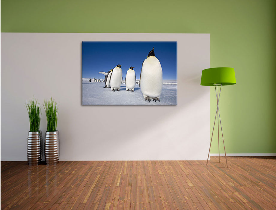 Kaiserpiguine in Antarktis Leinwandbild im Flur