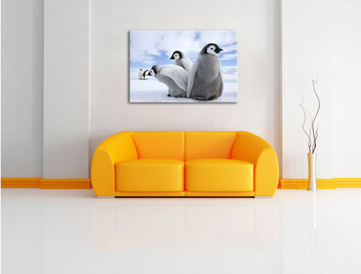 Kaiserpinguin Gruppe Leinwandbild über Sofa