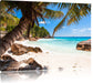Palmenstrand Seychellen Leinwandbild