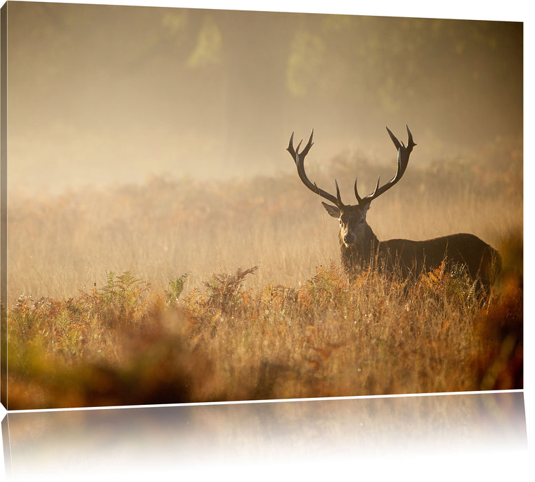 Pixxprint Rotwild Hirsch im Nebel, Leinwandbild