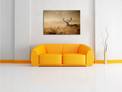 Rotwild Hirsch im Nebel Leinwandbild über Sofa