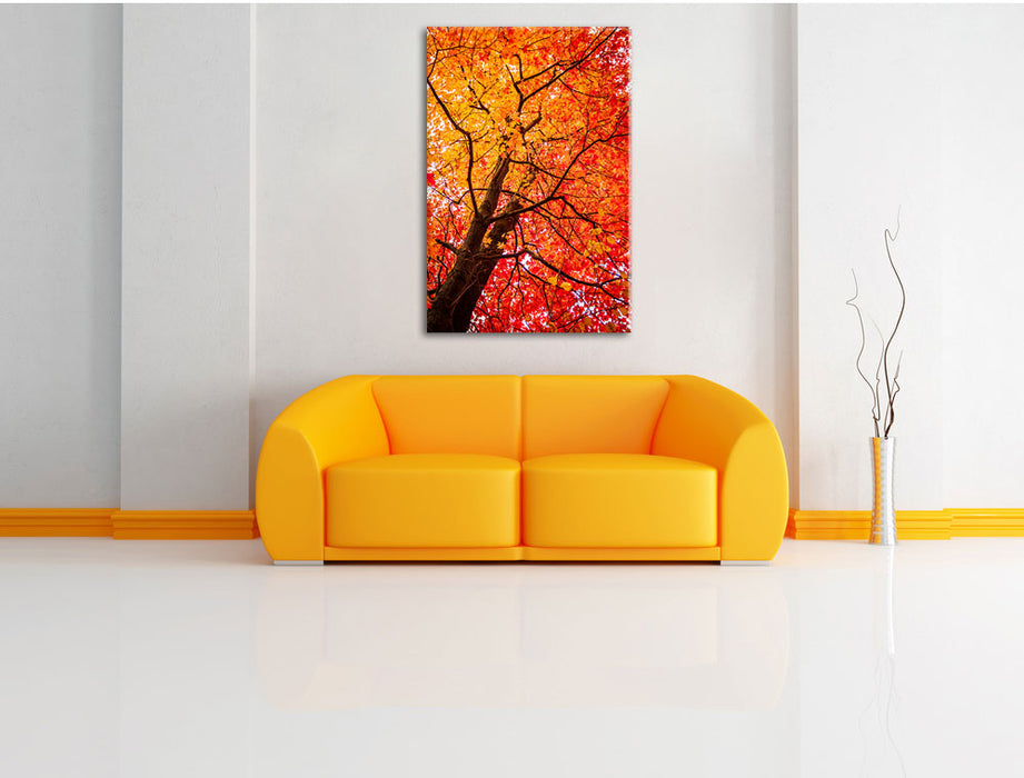 Feurige Herbstbläter Leinwandbild über Sofa
