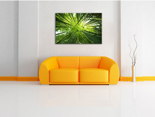 Grüner Bambus Leinwandbild über Sofa