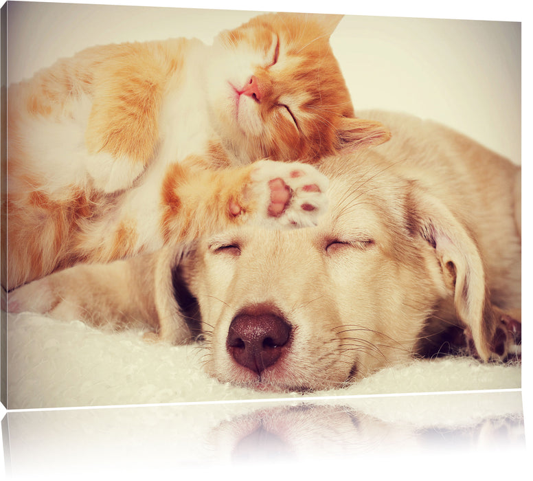 Pixxprint Käzchen und Welpe schlafen, Leinwandbild