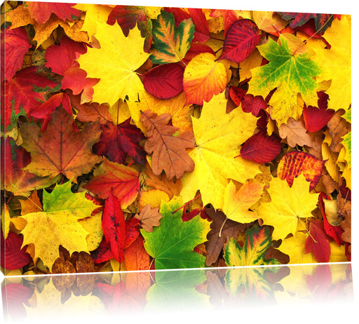 Herbstblätter Leinwandbild