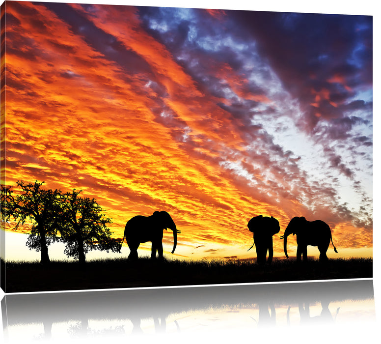 Pixxprint Elefanten in Wüste, Leinwandbild