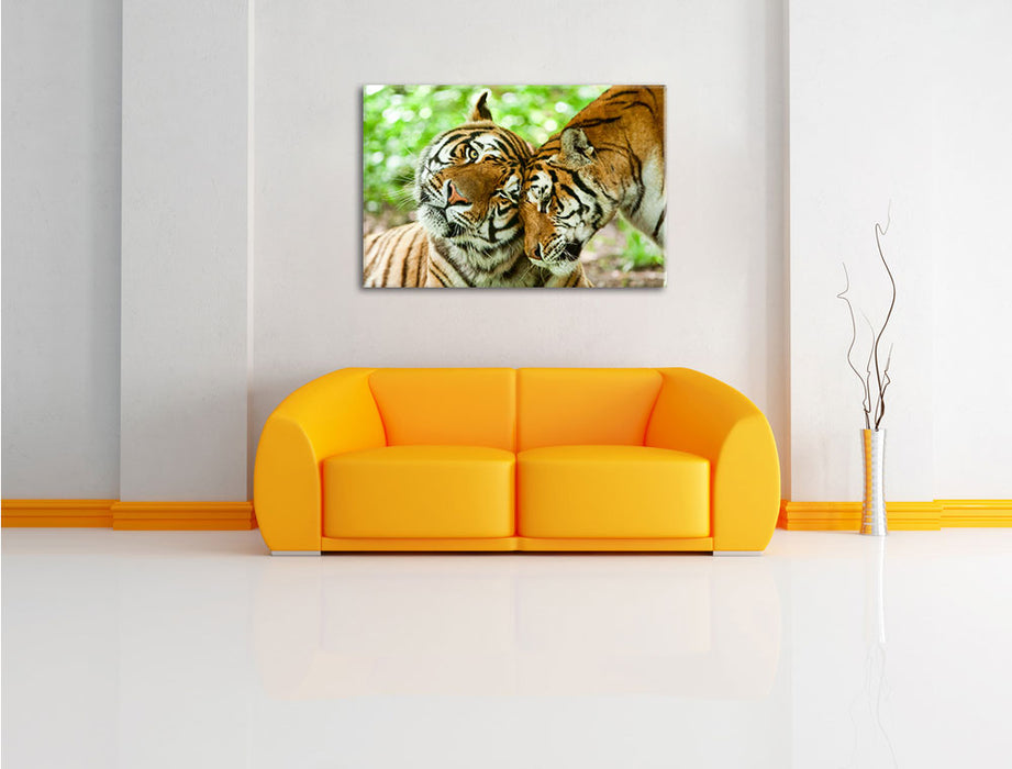 Zwei liebkosende Tiger Leinwandbild über Sofa