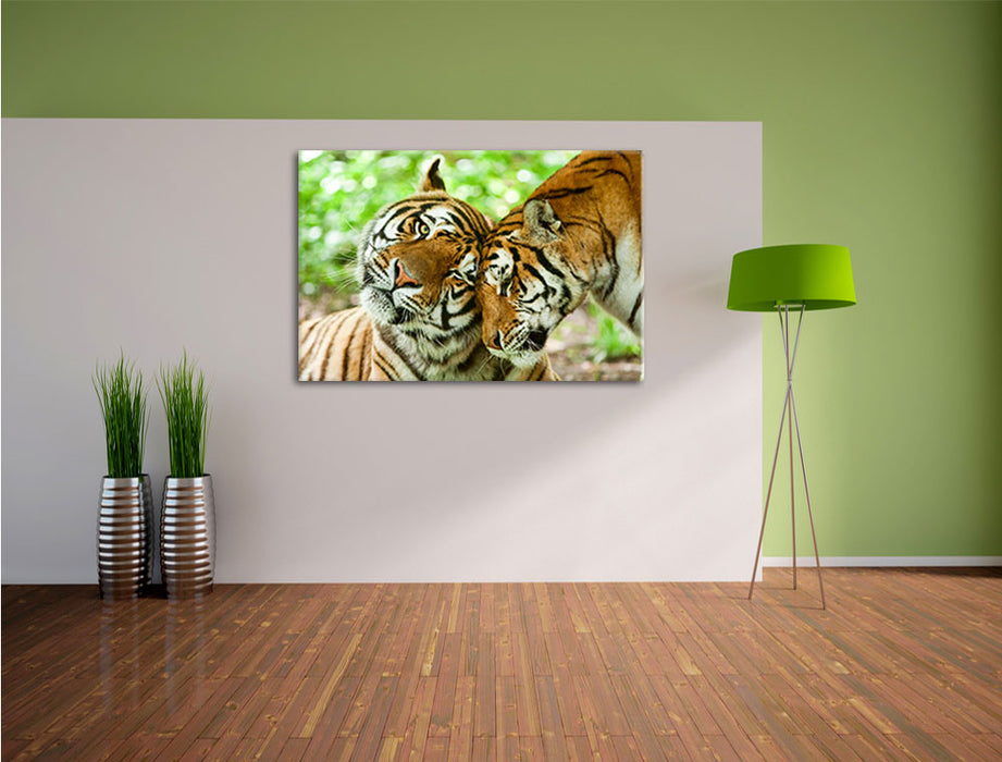 Zwei liebkosende Tiger Leinwandbild im Flur