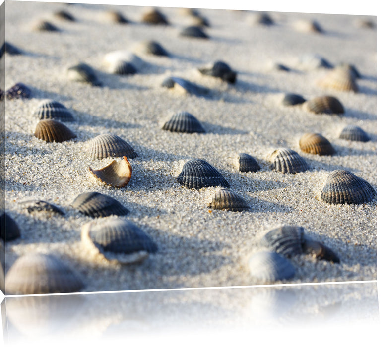 Pixxprint Muscheln im Sand, Leinwandbild