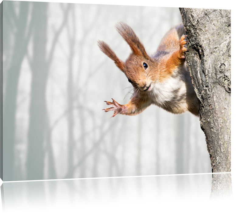 Pixxprint Neugierig rotes Eichhörnchen, Leinwandbild
