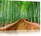 Kyoto Japan Bambuswald Leinwandbild