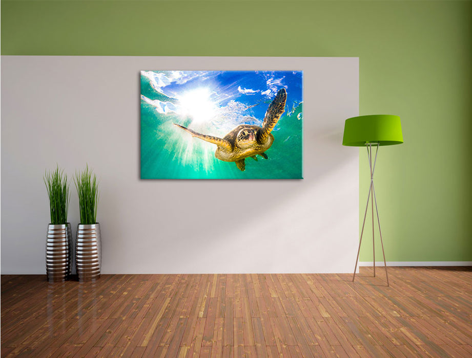 Grüne Meeresschildkröte Leinwandbild im Flur