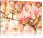 Magnolienblüten im Frühling Leinwandbild