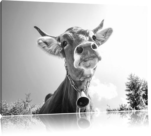 Portrait einer Kuh B&W Leinwandbild