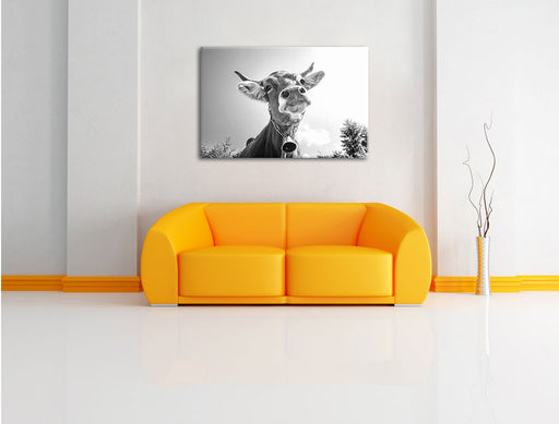 Portrait einer Kuh B&W Leinwandbild über Sofa