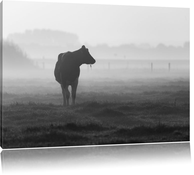 fressende Kuh auf der Weide Leinwandbild