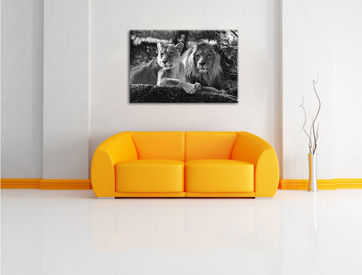 interessiertes Löwenpaar Kunst B&W Leinwandbild über Sofa