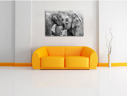 Elefantenmutter mit Kalb B&W Leinwandbild über Sofa