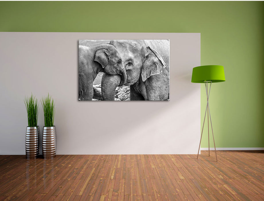 Elefantenmutter mit Kalb B&W Leinwandbild im Flur