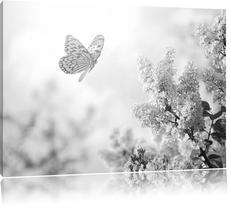 Pixxprint Schmetterling Kirschblüten B&W, Leinwandbild