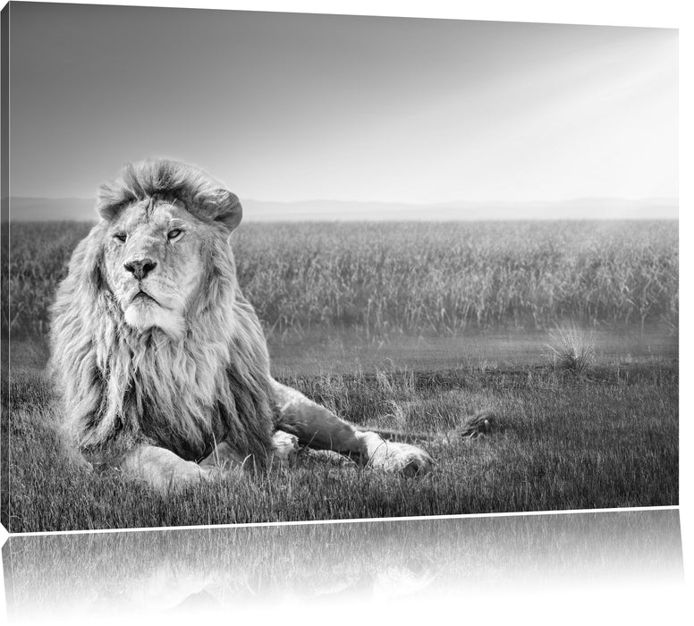 Pixxprint Majestäischer Löwe Kunst B&W, Leinwandbild