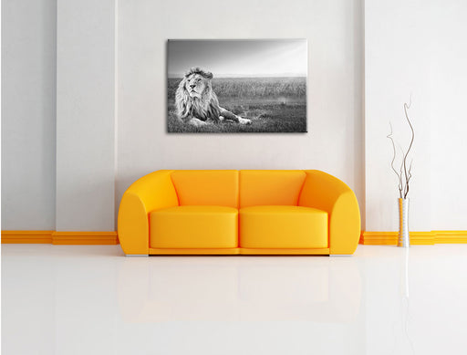 Majestäischer Löwe Kunst B&W Leinwandbild über Sofa