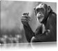 Aufmerksamer Schimpanse Kunst B&W Leinwandbild