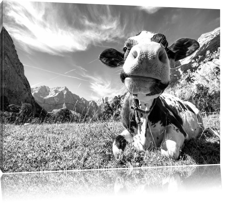 Kuh im Karwendelgebirge Kunst B&W Leinwandbild