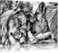 Kuschelnde Löwen B&W Leinwandbild
