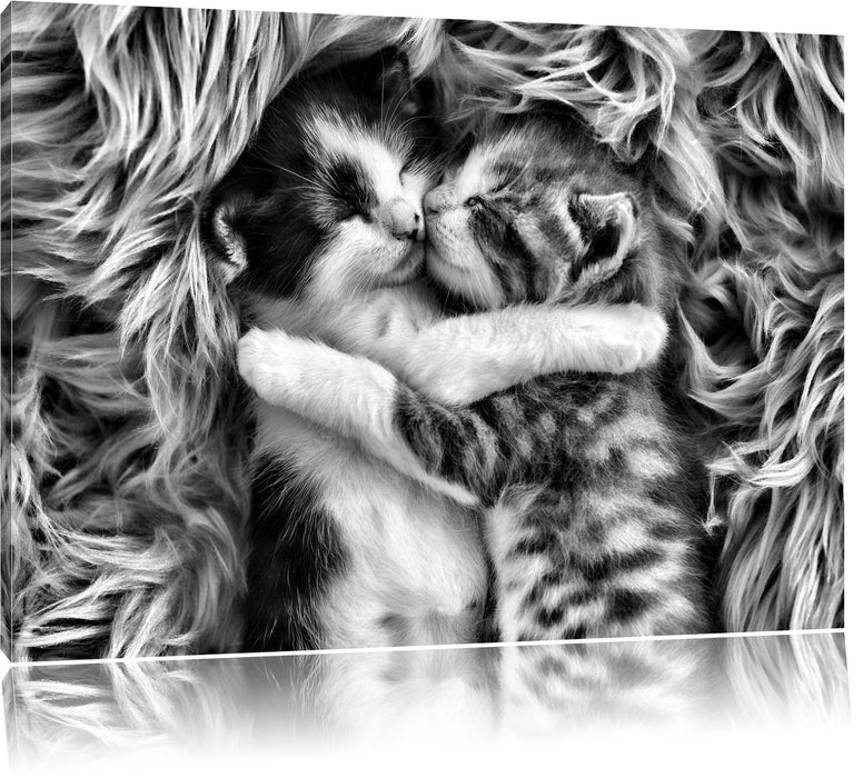 Pixxprint Zwei kuschelnde Käzchen, Leinwandbild