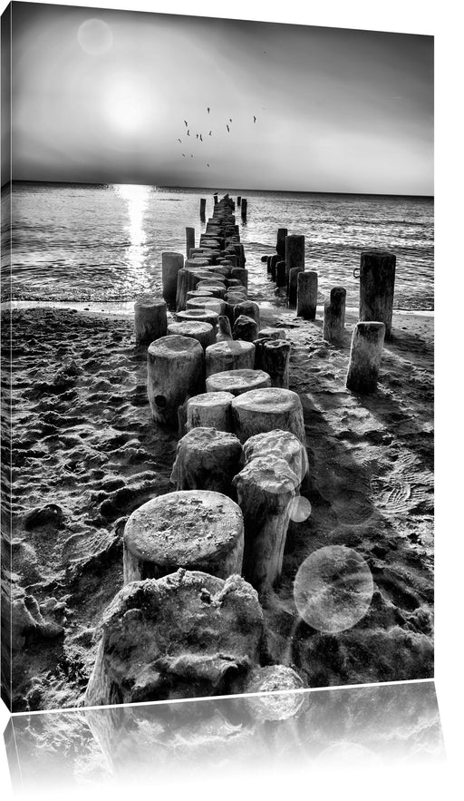 Baumstümpfe am Meer Leinwandbild